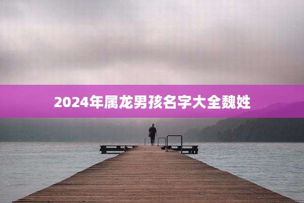 2024年属龙男孩名字大全魏姓