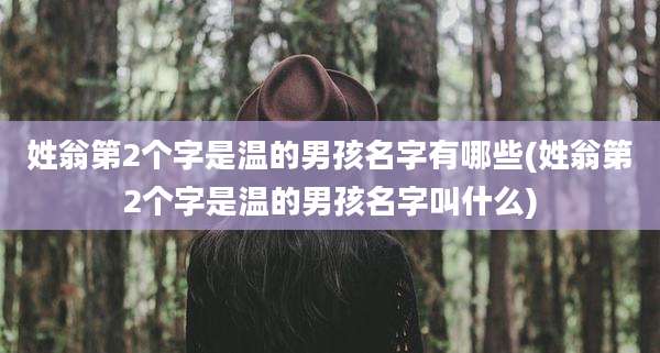 姓翁第2个字是温的男孩名字有哪些(姓翁第2个字是温的男孩名字叫什么)