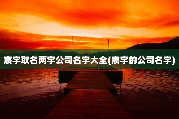 宸字取名两字公司名字大全(宸字的公司名字)