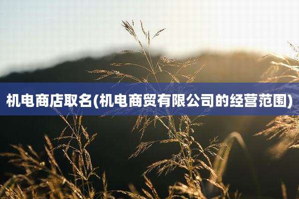 机电商店取名(机电商贸有限公司的经营范围)