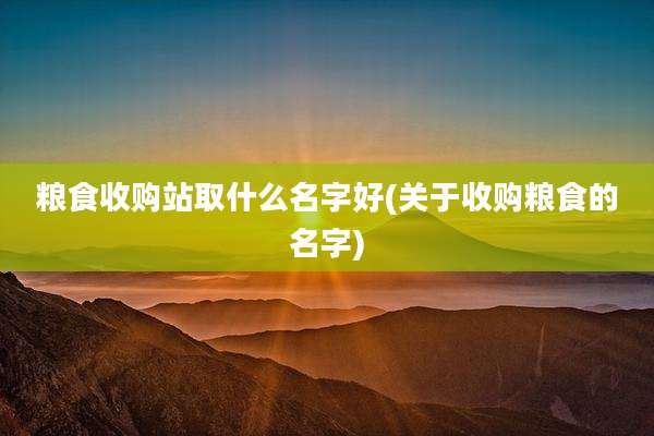 粮食收购站取什么名字好(关于收购粮食的名字)
