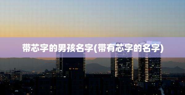 带芯字的男孩名字(带有芯字的名字)