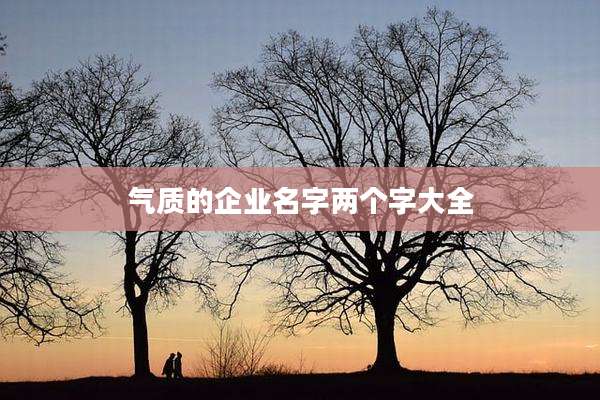 气质的企业名字两个字大全