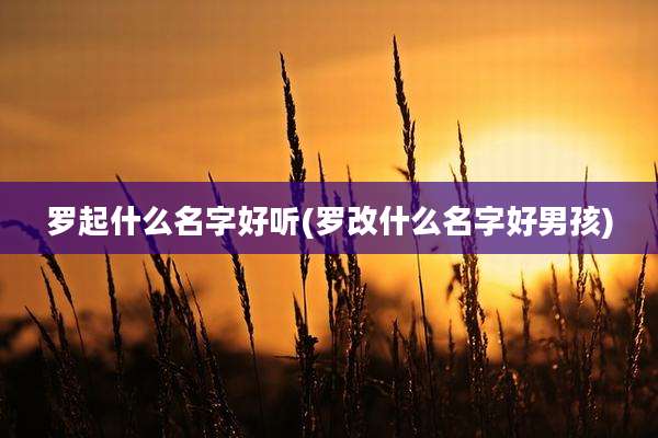 罗起什么名字好听(罗改什么名字好男孩)