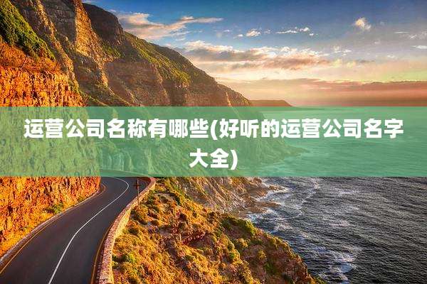 运营公司名称有哪些(好听的运营公司名字大全)