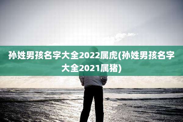 孙姓男孩名字大全2022属虎(孙姓男孩名字大全2021属猪)