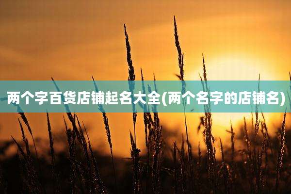 两个字百货店铺起名大全(两个名字的店铺名)