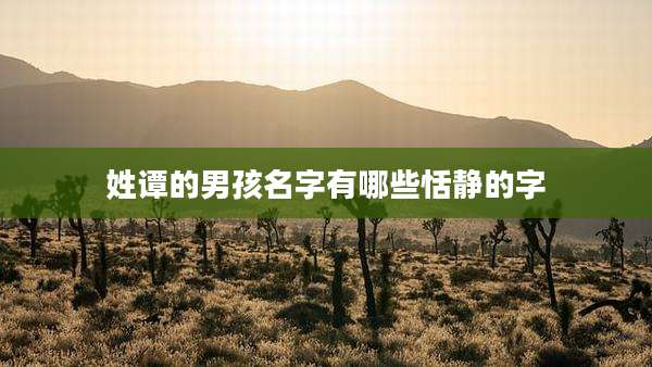 姓谭的男孩名字有哪些恬静的字