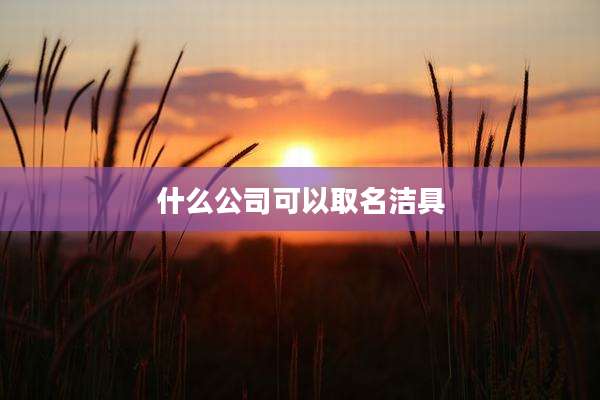 什么公司可以取名洁具