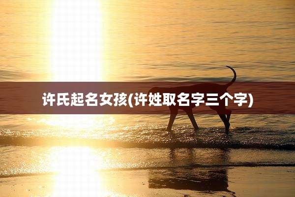 许氏起名女孩(许姓取名字三个字)
