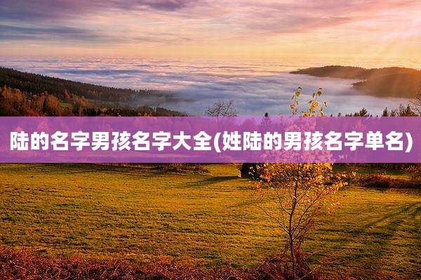 陆的名字男孩名字大全(姓陆的男孩名字单名)