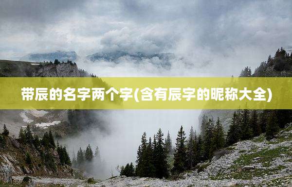带辰的名字两个字(含有辰字的昵称大全)