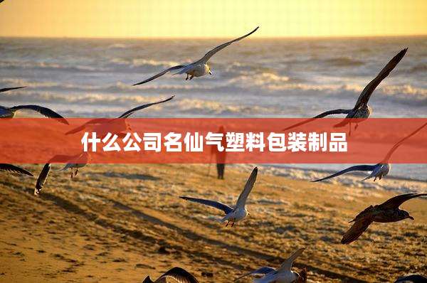 什么公司名仙气塑料包装制品