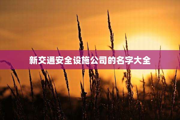 新交通安全设施公司的名字大全