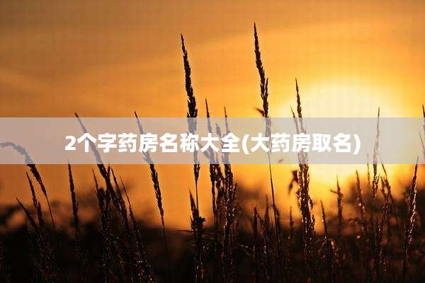 2个字药房名称大全(大药房取名)