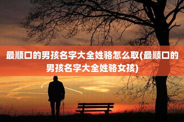 最顺口的男孩名字大全姓骆怎么取(最顺口的男孩名字大全姓骆女孩)