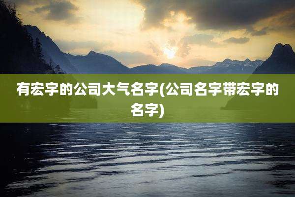 有宏字的公司大气名字(公司名字带宏字的名字)