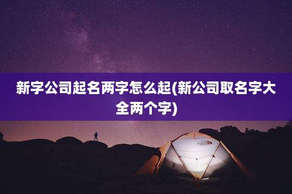 新字公司起名两字怎么起(新公司取名字大全两个字)