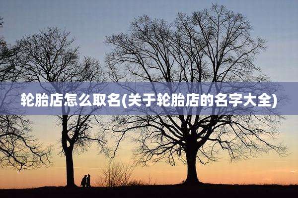 轮胎店怎么取名(关于轮胎店的名字大全)