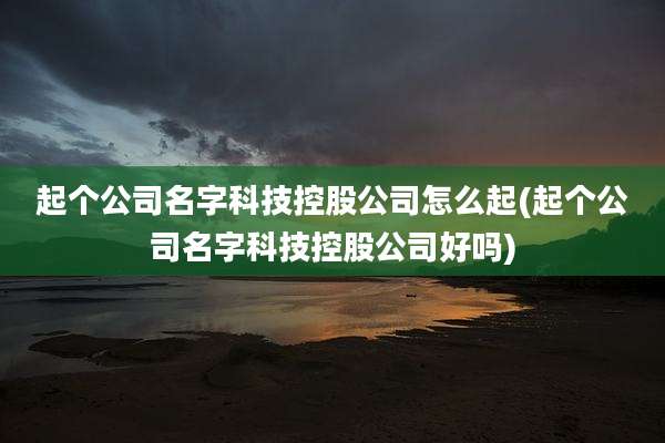 起个公司名字科技控股公司怎么起(起个公司名字科技控股公司好吗)