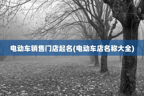 电动车销售门店起名(电动车店名称大全)