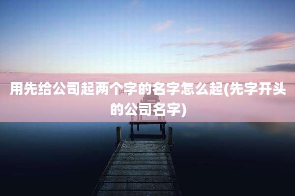 用先给公司起两个字的名字怎么起(先字开头的公司名字)