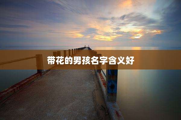 带花的男孩名字含义好