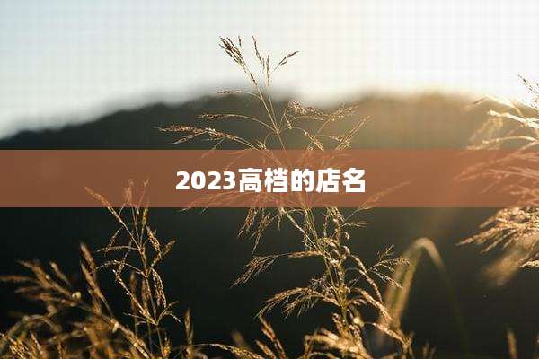 2023高档的店名
