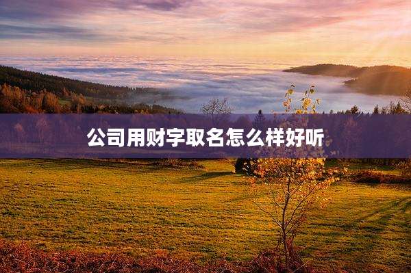 公司用财字取名怎么样好听
