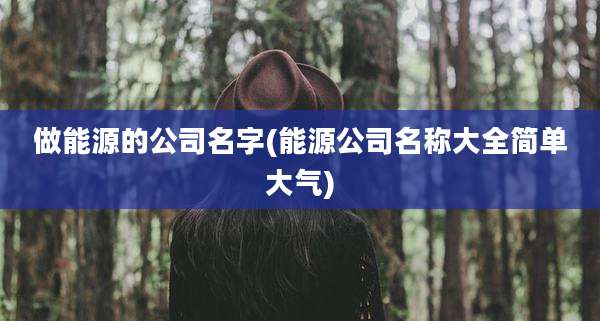 做能源的公司名字(能源公司名称大全简单大气)