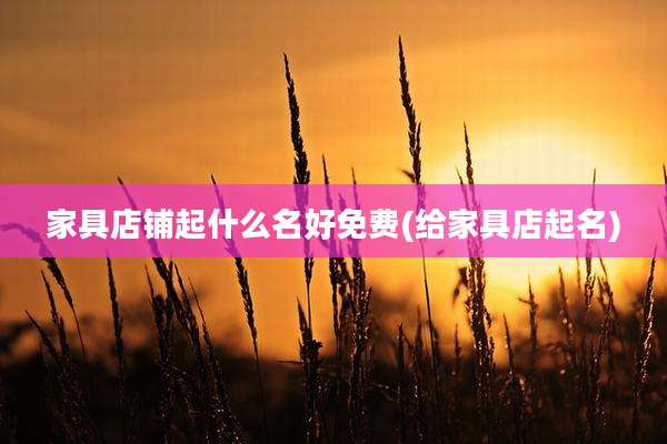 家具店铺起什么名好免费(给家具店起名)