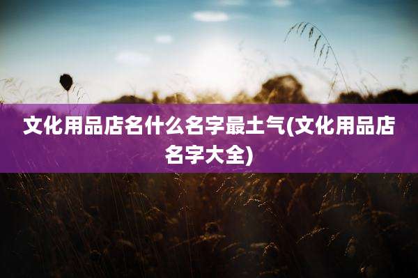 文化用品店名什么名字最土气(文化用品店名字大全)
