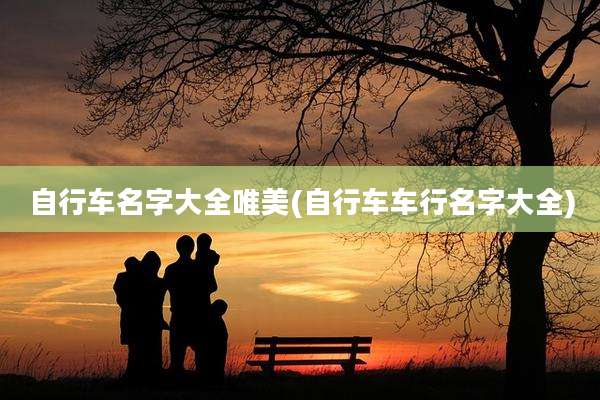 自行车名字大全唯美(自行车车行名字大全)