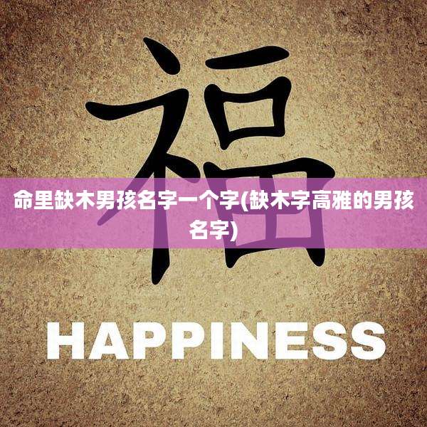 命里缺木男孩名字一个字(缺木字高雅的男孩名字)