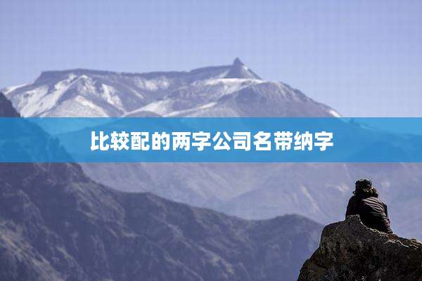 比较配的两字公司名带纳字