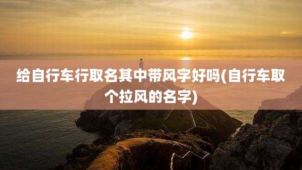 给自行车行取名其中带风字好吗(自行车取个拉风的名字)
