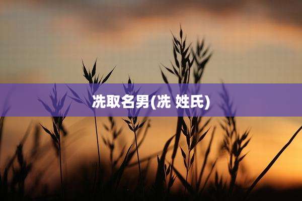 冼取名男(冼 姓氏)