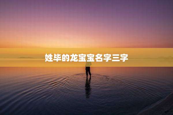 姓毕的龙宝宝名字三字