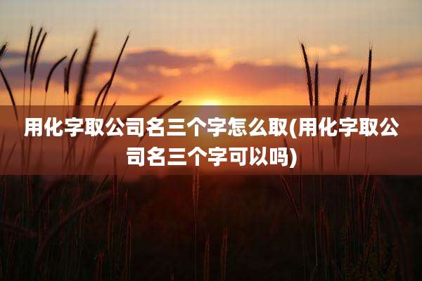 用化字取公司名三个字怎么取(用化字取公司名三个字可以吗)