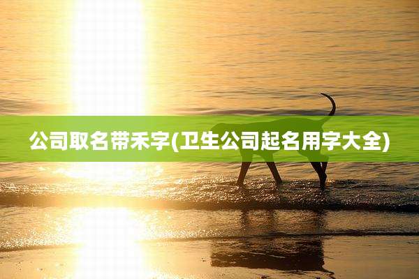 公司取名带禾字(卫生公司起名用字大全)