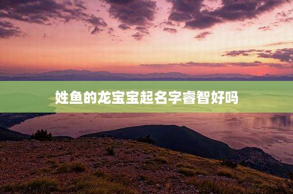 姓鱼的龙宝宝起名字睿智好吗