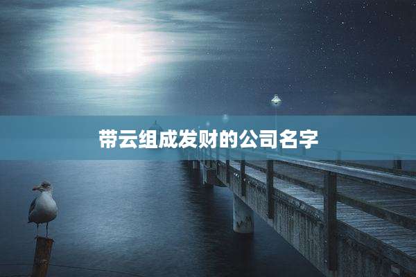 带云组成发财的公司名字