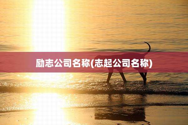 励志公司名称(志起公司名称)