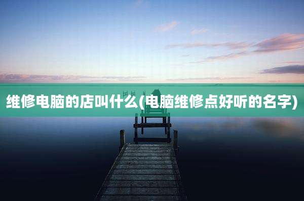 维修电脑的店叫什么(电脑维修点好听的名字)