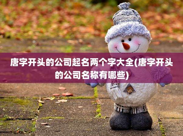 唐字开头的公司起名两个字大全(唐字开头的公司名称有哪些)