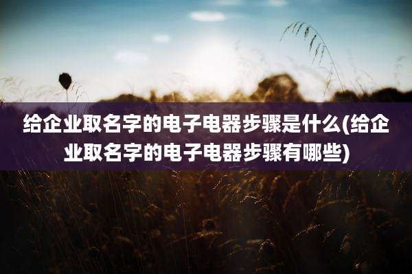 给企业取名字的电子电器步骤是什么(给企业取名字的电子电器步骤有哪些)