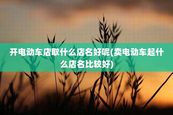 开电动车店取什么店名好呢(卖电动车起什么店名比较好)