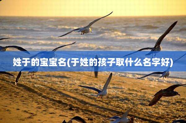 姓于的宝宝名(于姓的孩子取什么名字好)