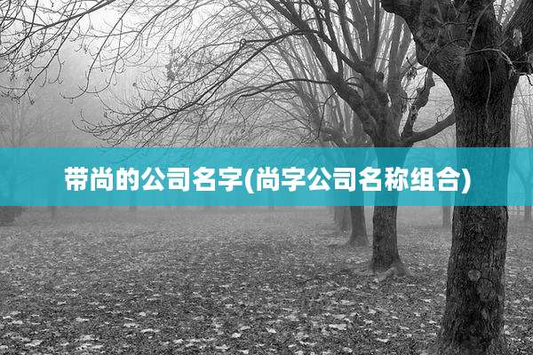 带尚的公司名字(尚字公司名称组合)