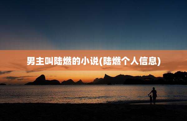 男主叫陆燃的小说(陆燃个人信息)